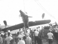 156 K. Benjamin  Damaged Kingfisher