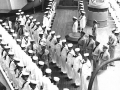 019 Inspection