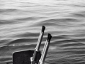 1099 Calm Seas