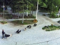 Alaska 19a