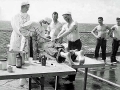 028 Crossing The Line 6-19-53