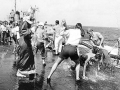 041 Crossing The Line 6-19-53