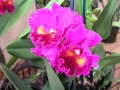 086
