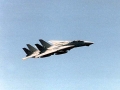 123 015 F14 Tomcats flyby